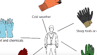 gloves