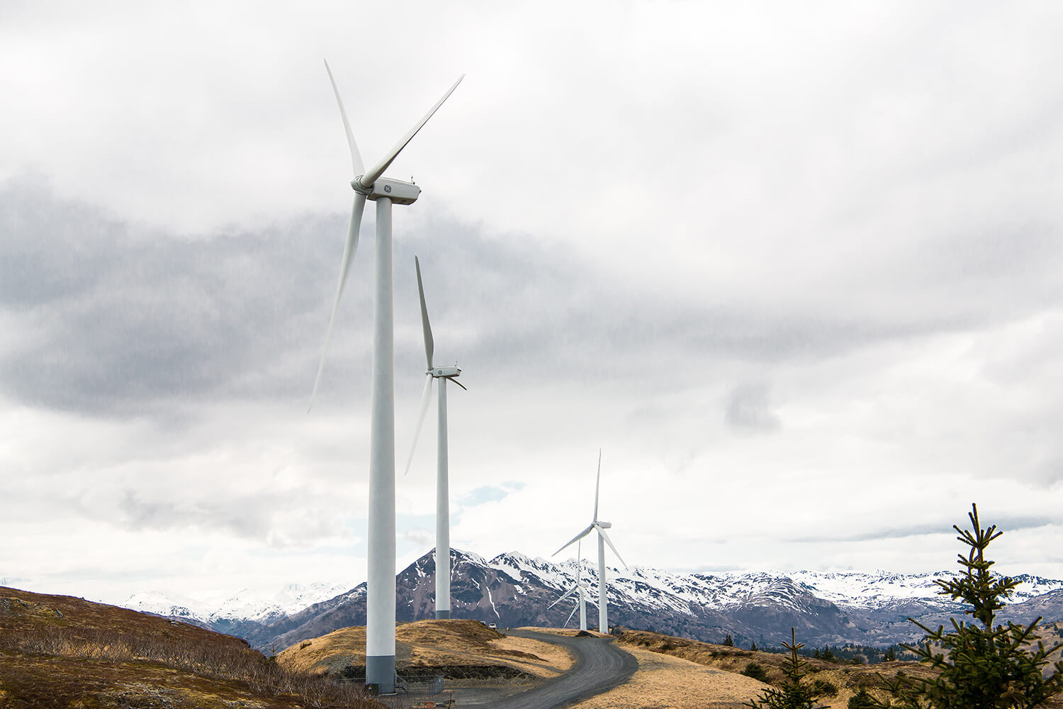 Wind Turbine